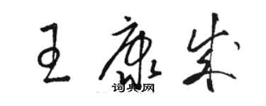 駱恆光王康成草書個性簽名怎么寫