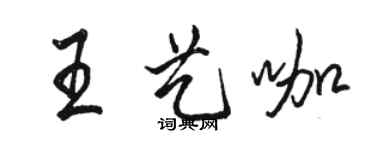 駱恆光王藝咖行書個性簽名怎么寫