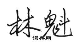 駱恆光林魁行書個性簽名怎么寫