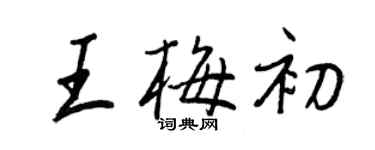 王正良王梅初行書個性簽名怎么寫