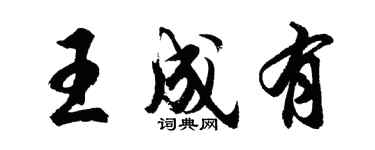 胡問遂王成有行書個性簽名怎么寫