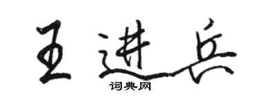 駱恆光王進兵行書個性簽名怎么寫