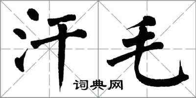 翁闓運汗毛楷書怎么寫