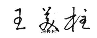 駱恆光王美柱草書個性簽名怎么寫