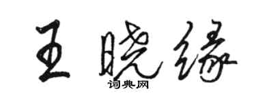 駱恆光王曉緣行書個性簽名怎么寫