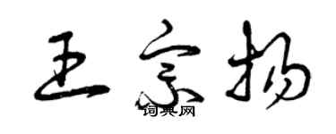 曾慶福王宗揚草書個性簽名怎么寫