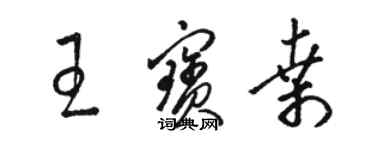 駱恆光王寶桑草書個性簽名怎么寫