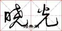 曾慶福曉光草書怎么寫