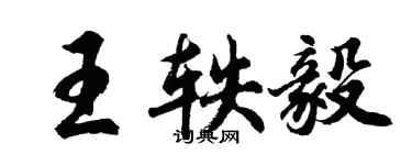 胡問遂王軼毅行書個性簽名怎么寫