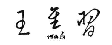 駱恆光王售習草書個性簽名怎么寫