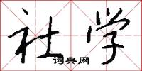 社學怎么寫好看