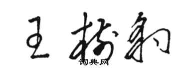 駱恆光王樹豹草書個性簽名怎么寫