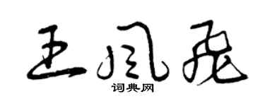 曾慶福王風飛草書個性簽名怎么寫