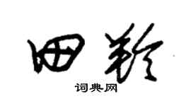 朱錫榮田羚草書個性簽名怎么寫