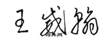 駱恆光王威翰草書個性簽名怎么寫