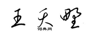 梁錦英王夭野草書個性簽名怎么寫