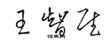 駱恆光王智慰草書個性簽名怎么寫