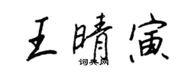 王正良王晴寅行書個性簽名怎么寫