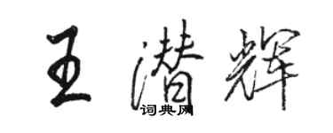 駱恆光王潛輝行書個性簽名怎么寫