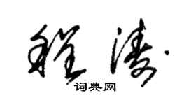 朱錫榮程濤草書個性簽名怎么寫