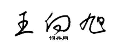 梁錦英王向旭草書個性簽名怎么寫