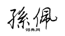 王正良孫佩行書個性簽名怎么寫