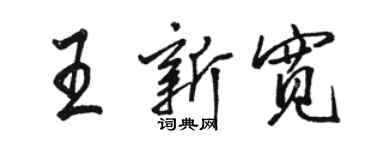 駱恆光王新寬行書個性簽名怎么寫