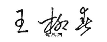 駱恆光王柳春草書個性簽名怎么寫