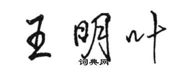 駱恆光王明葉行書個性簽名怎么寫
