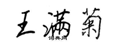 王正良王滿菊行書個性簽名怎么寫