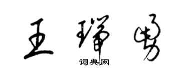 梁錦英王瑞勇草書個性簽名怎么寫