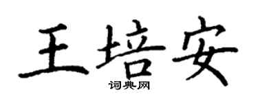 丁謙王培安楷書個性簽名怎么寫