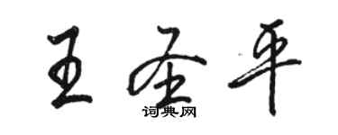 駱恆光王聖平行書個性簽名怎么寫