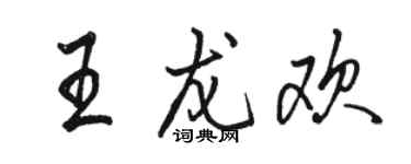 駱恆光王龍歡行書個性簽名怎么寫
