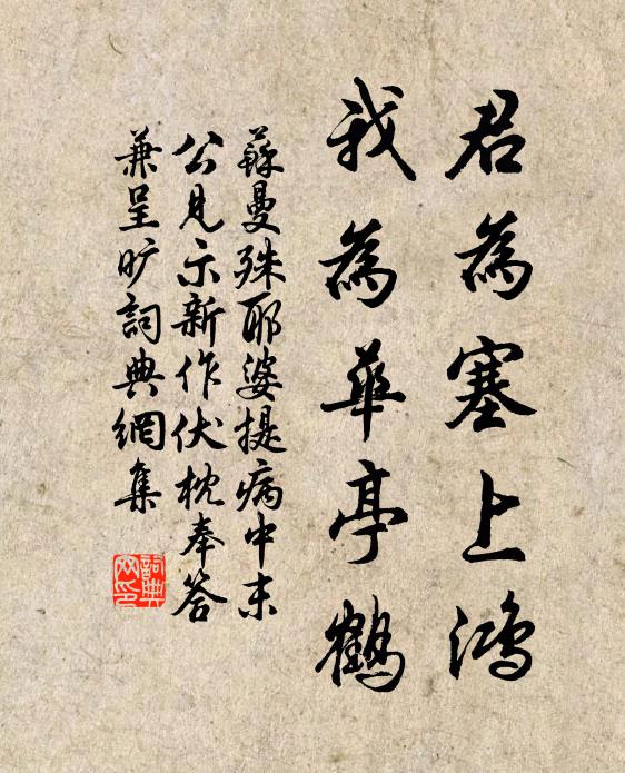 飛鴻渺天末,目送類中散 詩詞名句