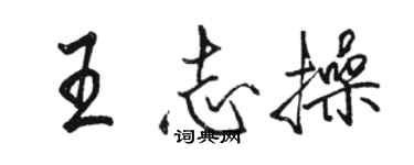 駱恆光王志操行書個性簽名怎么寫