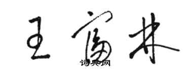 駱恆光王富林草書個性簽名怎么寫