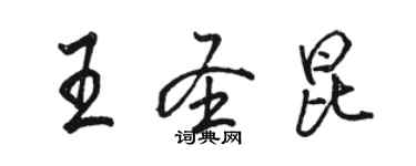 駱恆光王聖昆行書個性簽名怎么寫