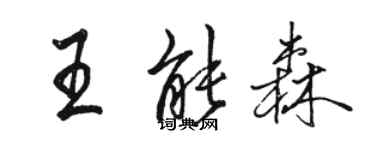 駱恆光王能森行書個性簽名怎么寫