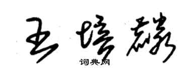 朱錫榮王培麟草書個性簽名怎么寫