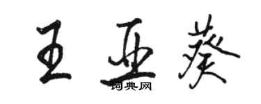 駱恆光王亞葵行書個性簽名怎么寫