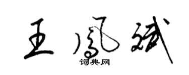 梁錦英王鳳斌草書個性簽名怎么寫