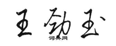 駱恆光王勁玉行書個性簽名怎么寫