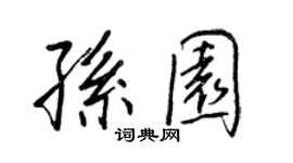 王正良孫園行書個性簽名怎么寫