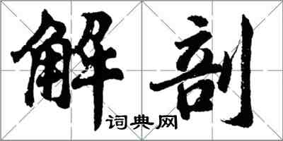 胡問遂解剖行書怎么寫