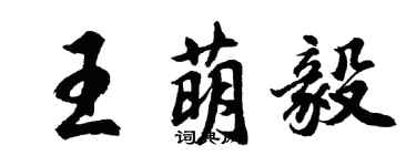 胡問遂王萌毅行書個性簽名怎么寫