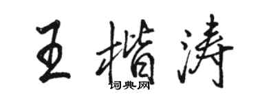 駱恆光王楷濤行書個性簽名怎么寫