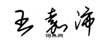 朱錫榮王嘉沛草書個性簽名怎么寫