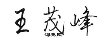 駱恆光王茂峰行書個性簽名怎么寫