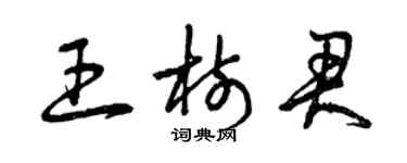 曾慶福王樹君草書個性簽名怎么寫